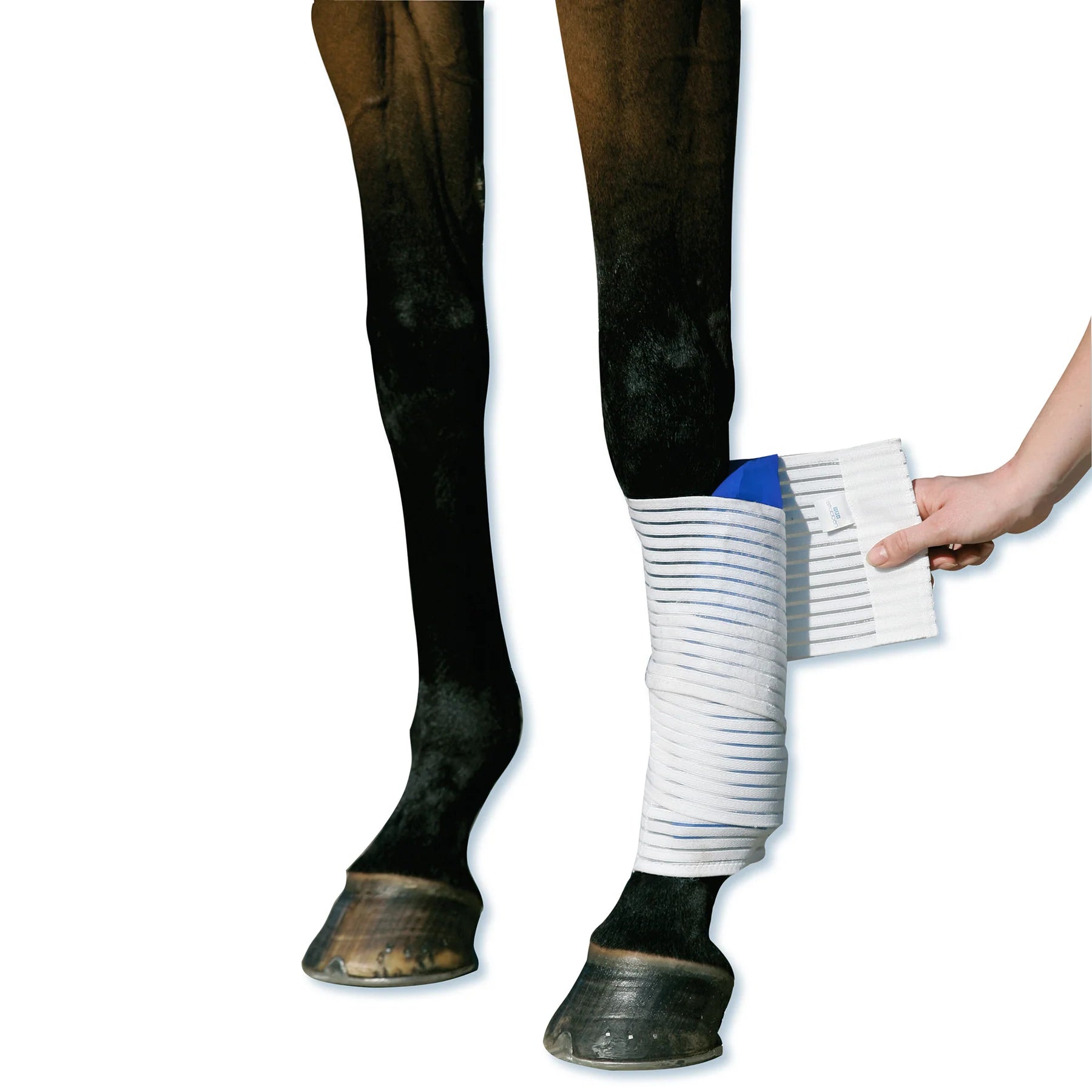 Stübben Kryo Kompakt Horse Elastic Bandage