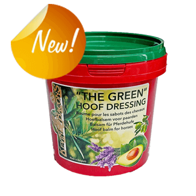 kevin_bacons_greemillaa_pferdesport