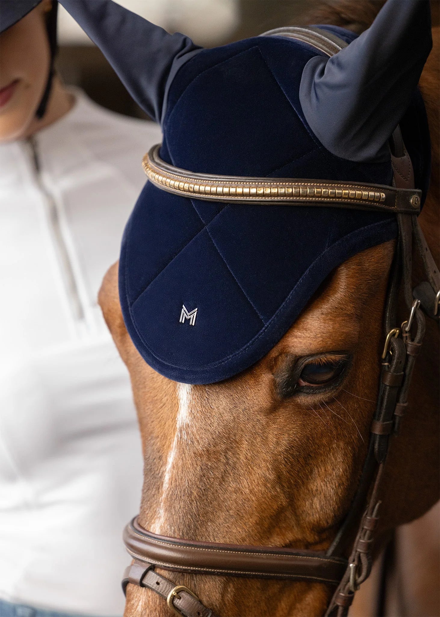 Maximilian Schabracke sapphire