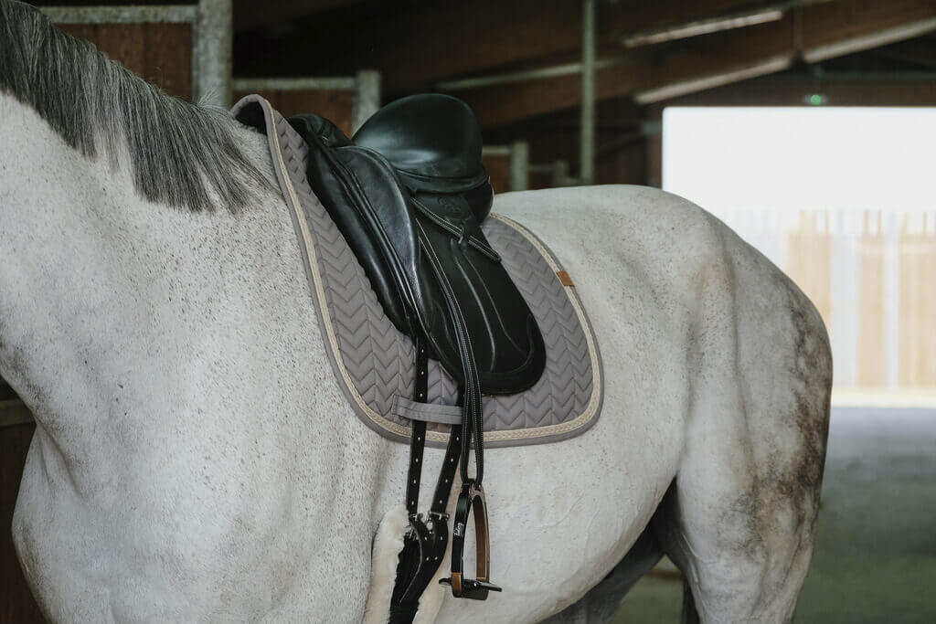 schabracke_equithem_softy_greemilla_pferdesport