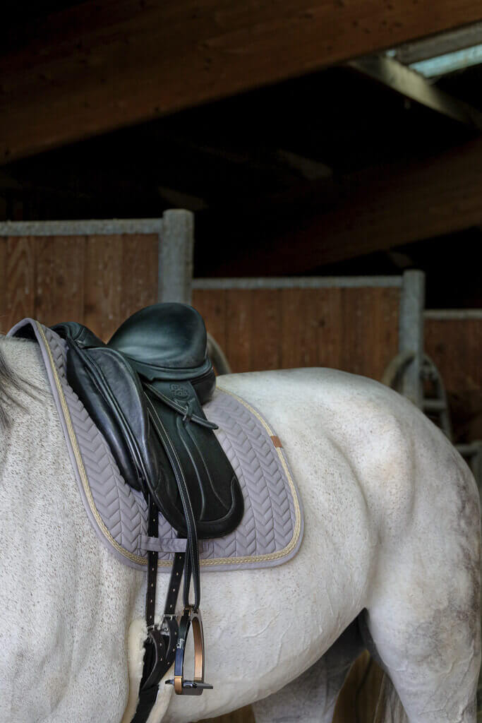 EQUITHÈME „SOFTY" SCHABRACKE grau