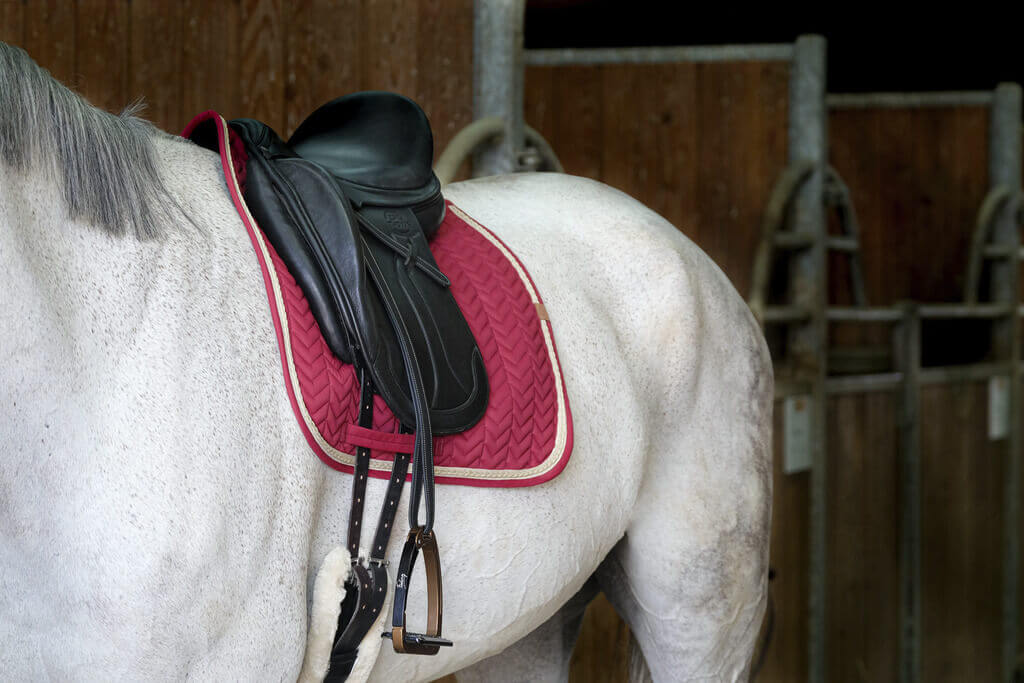 schabracke_equithem_softy_greemilla_pferdesport