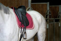 schabracke_equithem_softy_greemilla_pferdesport