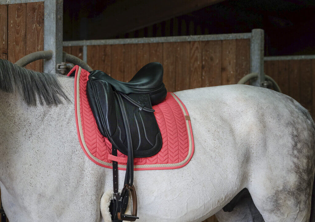 schabracke_equithem_softy_greemilla_pferdesport