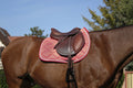 schabracke_equithem_classsic_greemilla_pferdesport