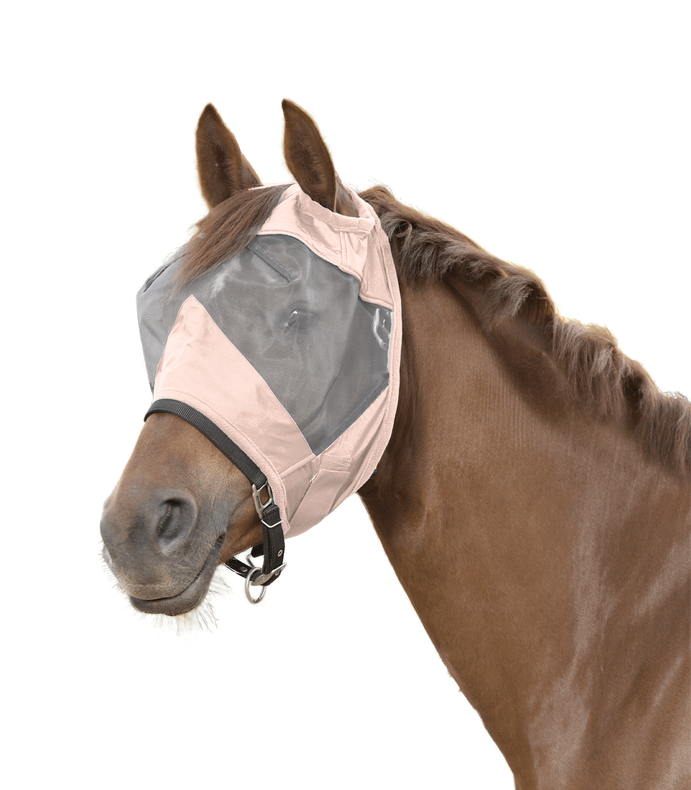 Premium Fliegenmaske ohne Ohrenschutz