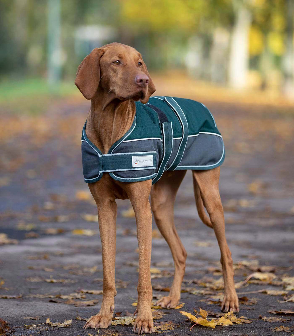 Comfort Hundedecke 200g