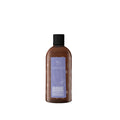 CXEVALO Lavender Shampoo