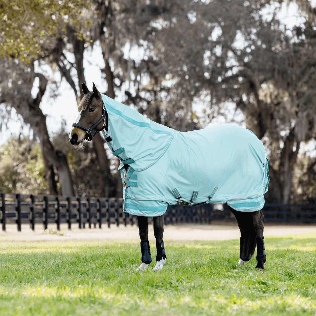 LeMieux_Arika_Armour-Tek_Fliegendecke_aqua_greemillaa