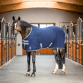 LeMieux_Arika_Stalldecke_greemillaa