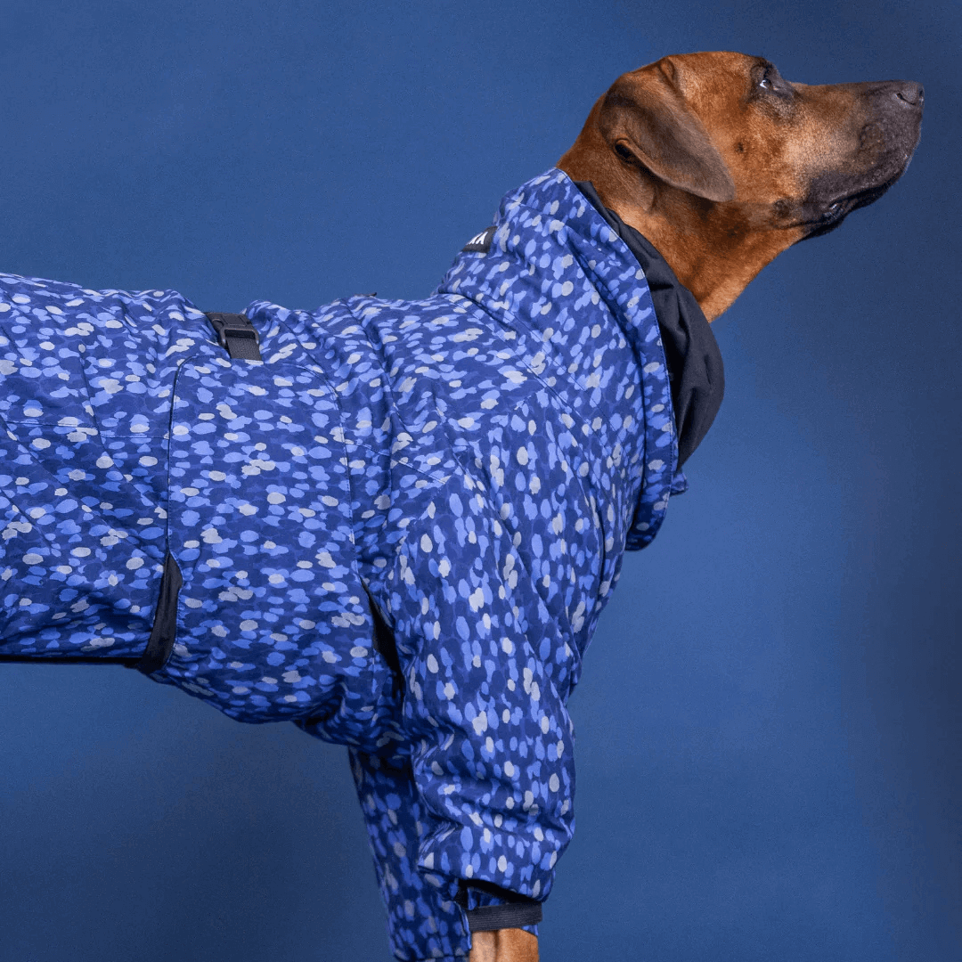 PAIKKA Winteranzug für Hunde blau