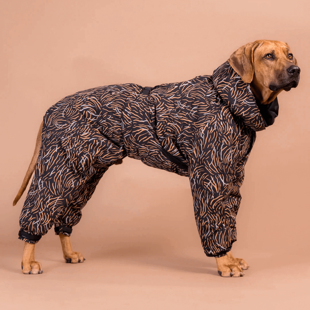 PAIKKA Winteranzug für Hunde coral