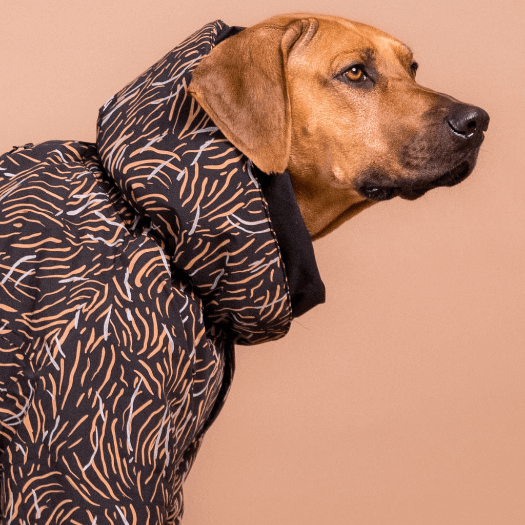 PAIKKA Winteranzug für Hunde coral