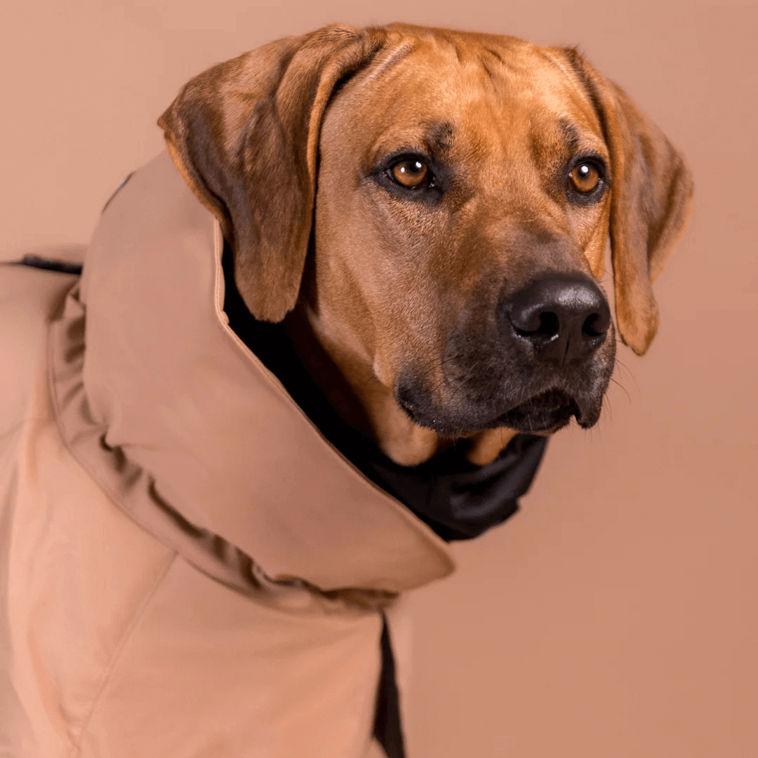 PAIKKA Visibility Wintermantel für Hunde Wool Taupe