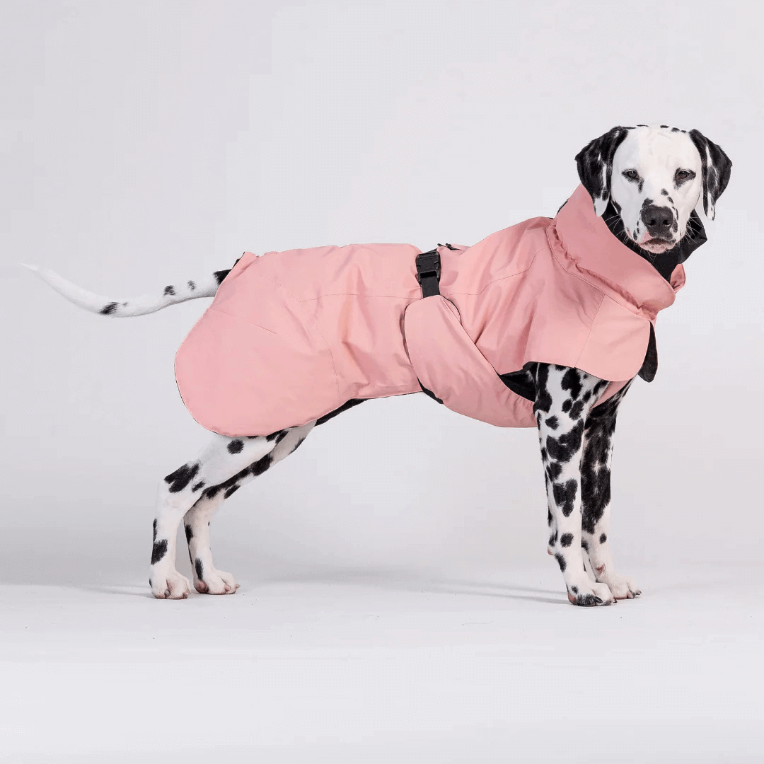 PAIKKA Visibility Wintermantel für Hunde Wool Rose