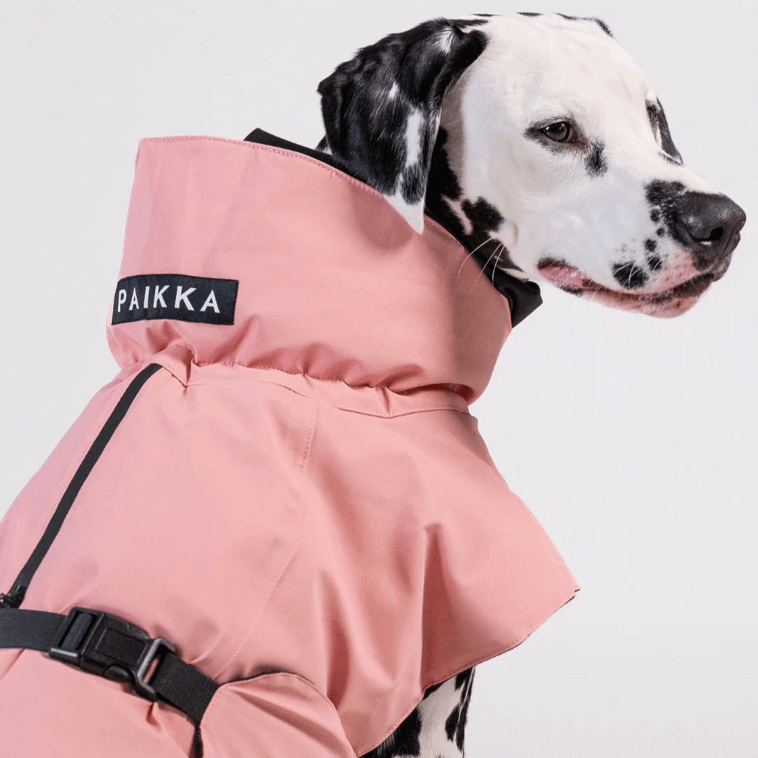 PAIKKA Visibility Wintermantel für Hunde Wool Rose