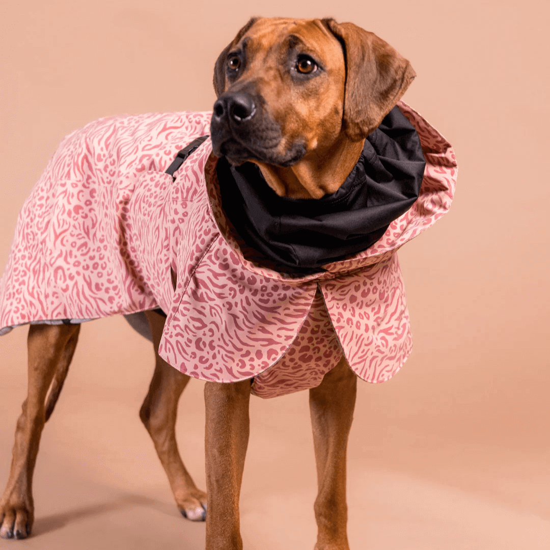 PAIKKA Visibility Wintermantel für Hunde Red Mix