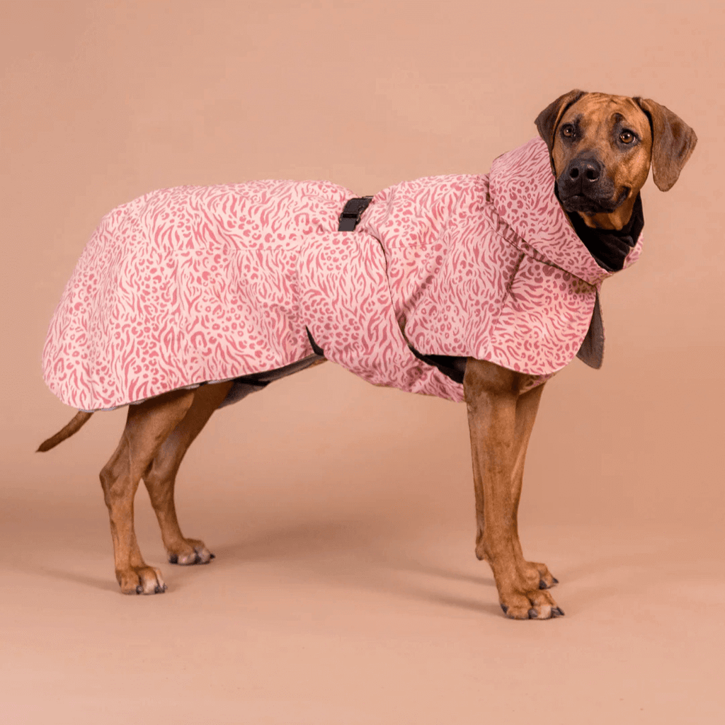 PAIKKA Visibility Wintermantel für Hunde Red Mix