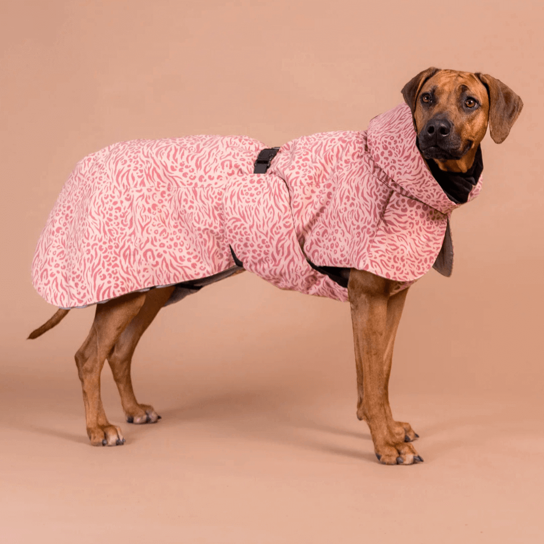 PAIKKA Visibility Wintermantel für Hunde Red Mix