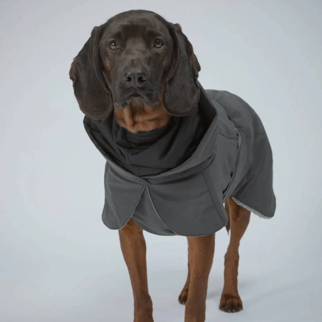 PAIKKA Visibility Wintermantel für Hunde Dark
