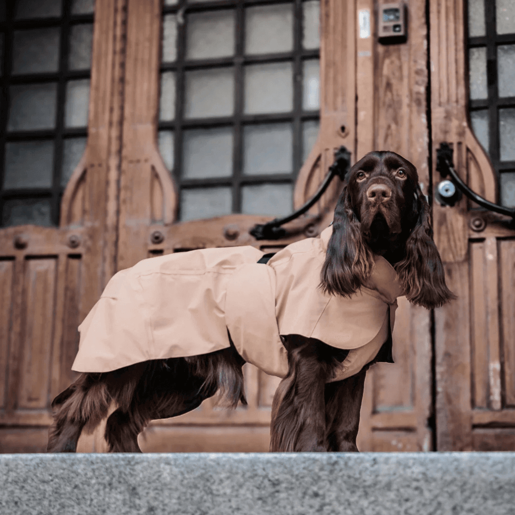 PAIKKA Visibility Regenmantel Lite für Hunde Taupe