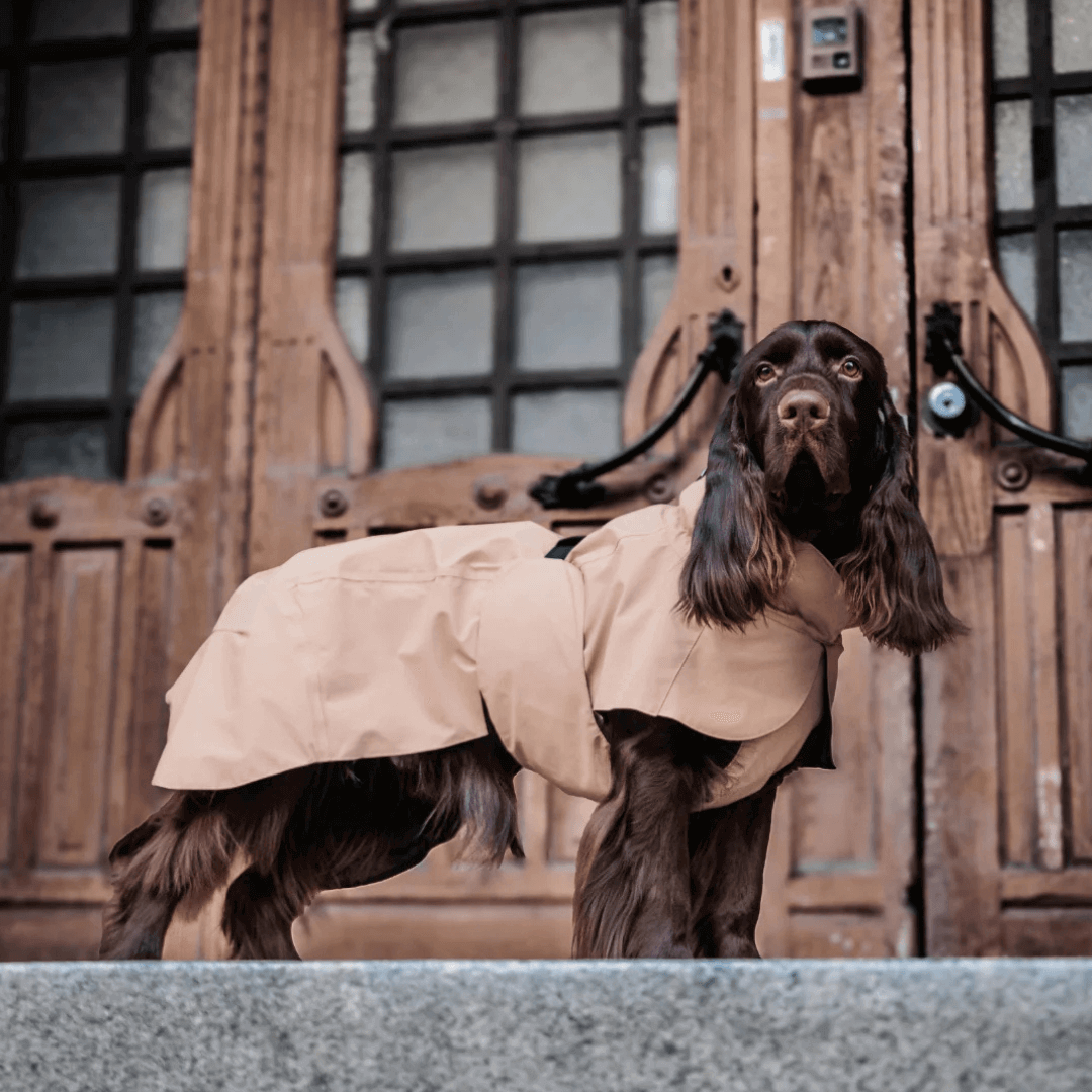 PAIKKA Visibility Regenmantel Lite für Hunde Taupe