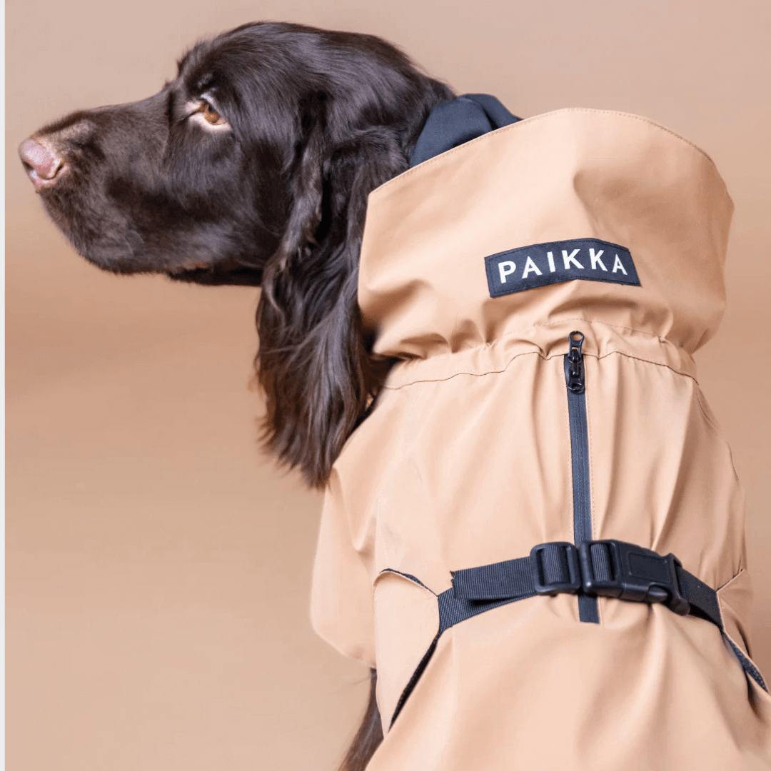 PAIKKA Visibility Regenmantel Lite für Hunde Taupe