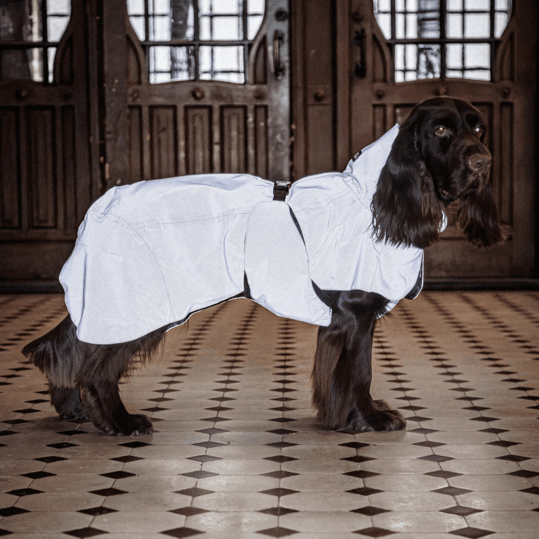 PAIKKA Visibility Regenmantel Lite für Hunde Taupe