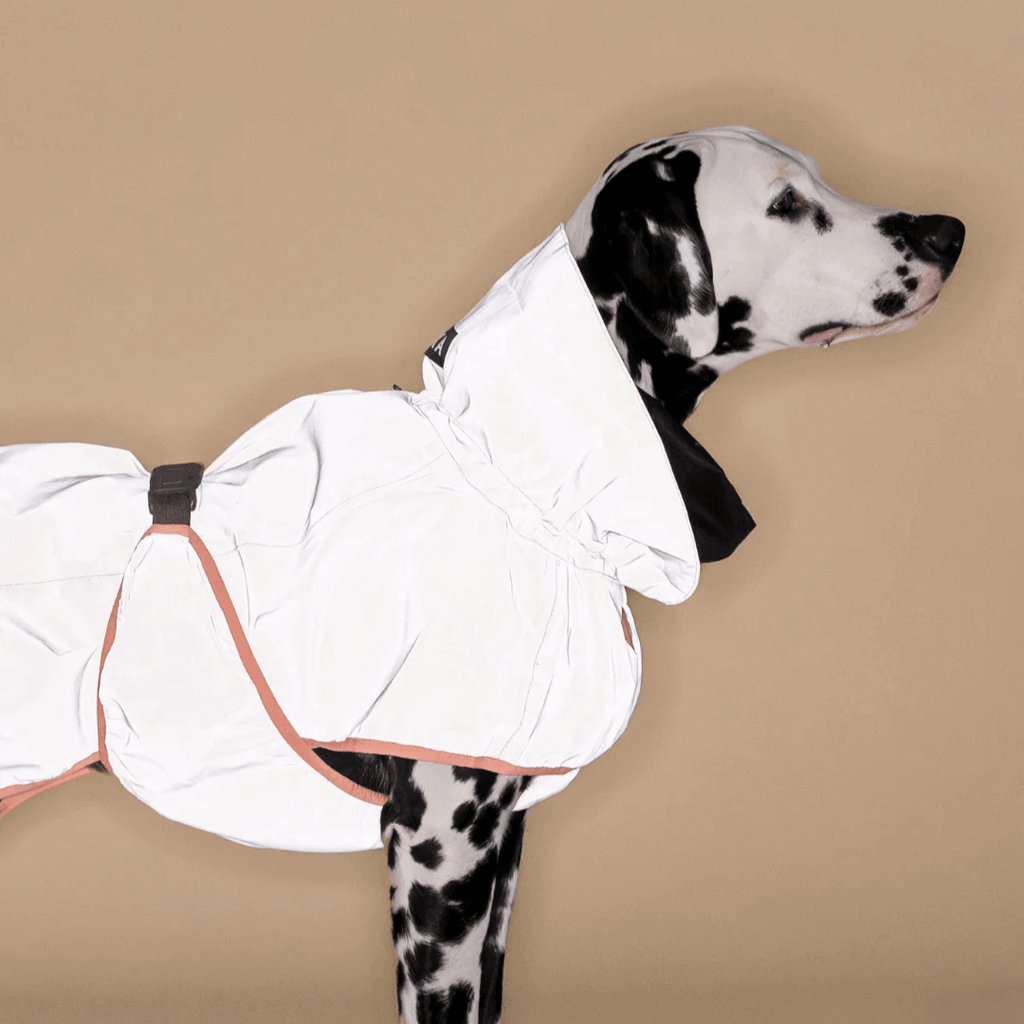 PAIKKA Reflektierender Regenmantel für Hunde Pfirsich