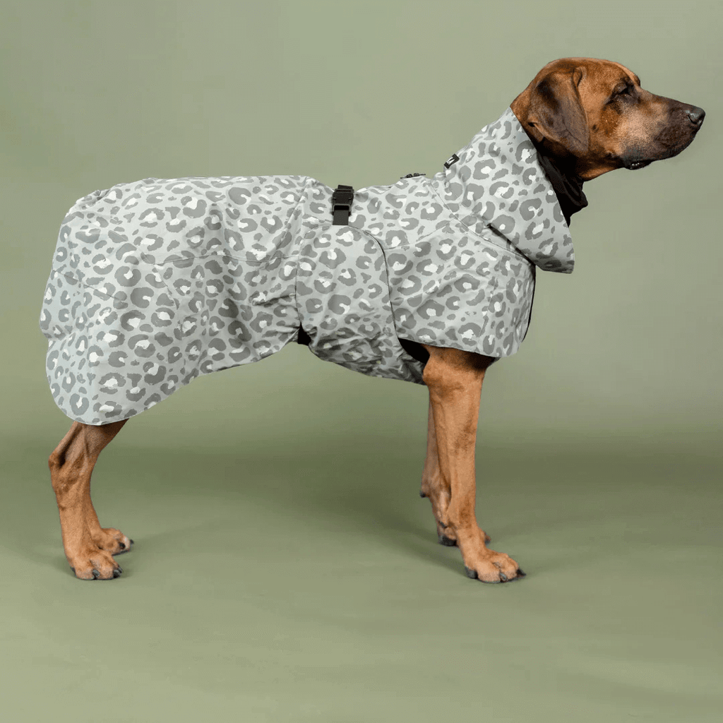 PAIKKA Visibility Regenmantel Lite für Hunde Leo grün