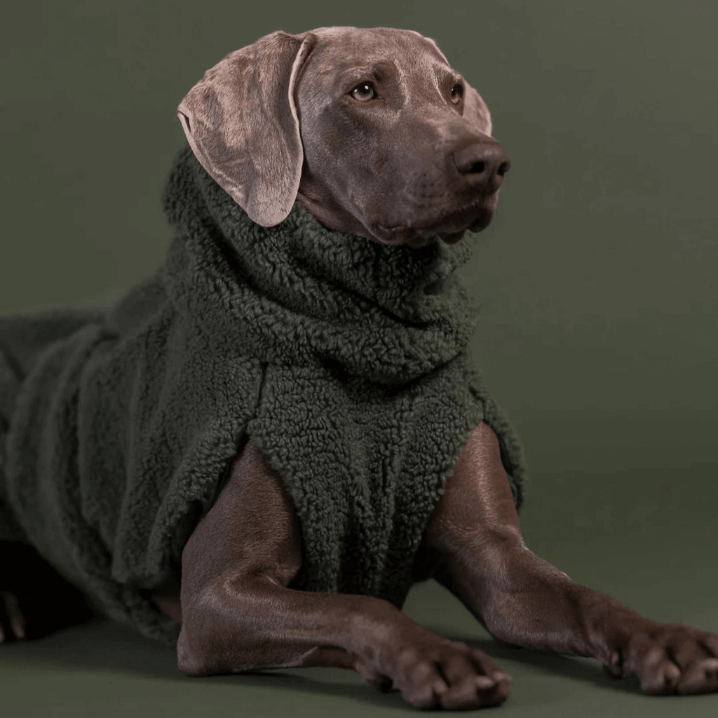PAIKKA Sherpa Mantel für Hunde – Olive