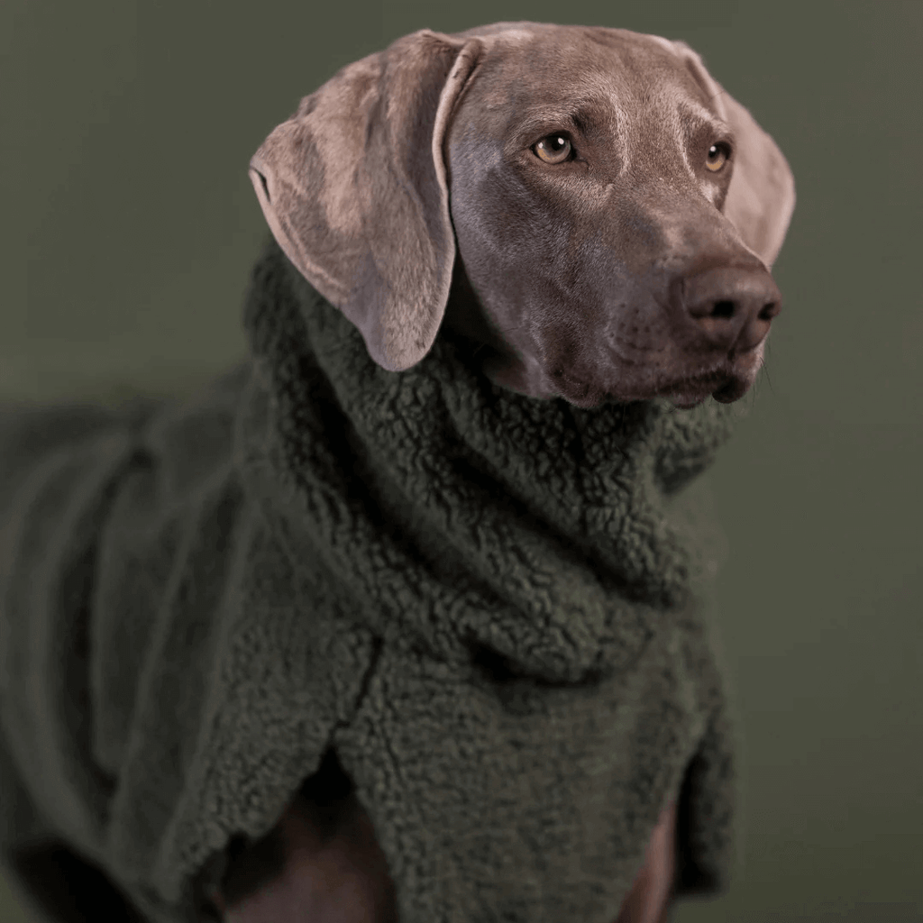 PAIKKA Sherpa Mantel für Hunde – Olive
