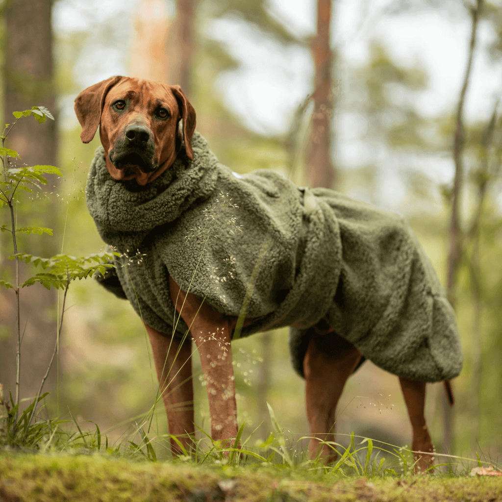 PAIKKA Sherpa Mantel für Hunde – Olive