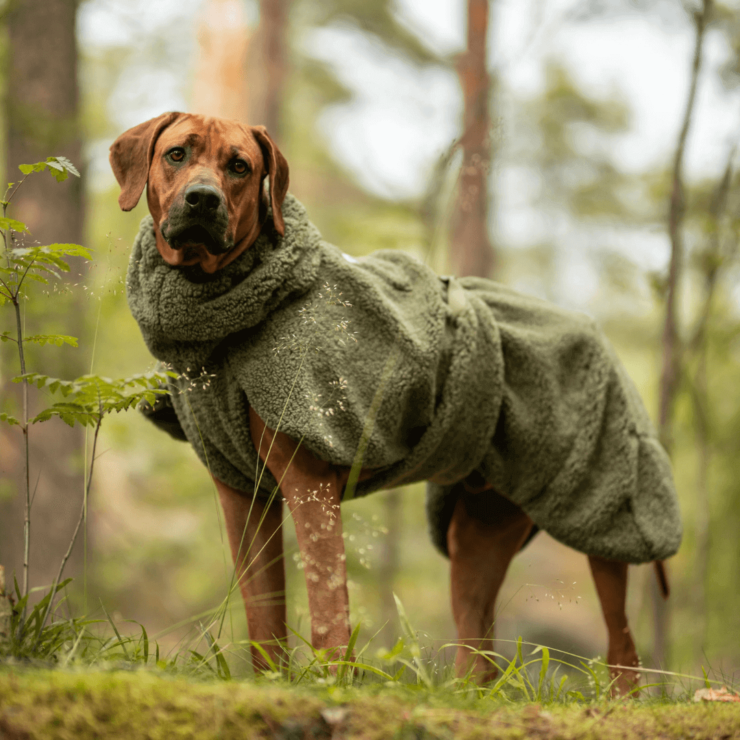 PAIKKA Sherpa Mantel für Hunde – Olive