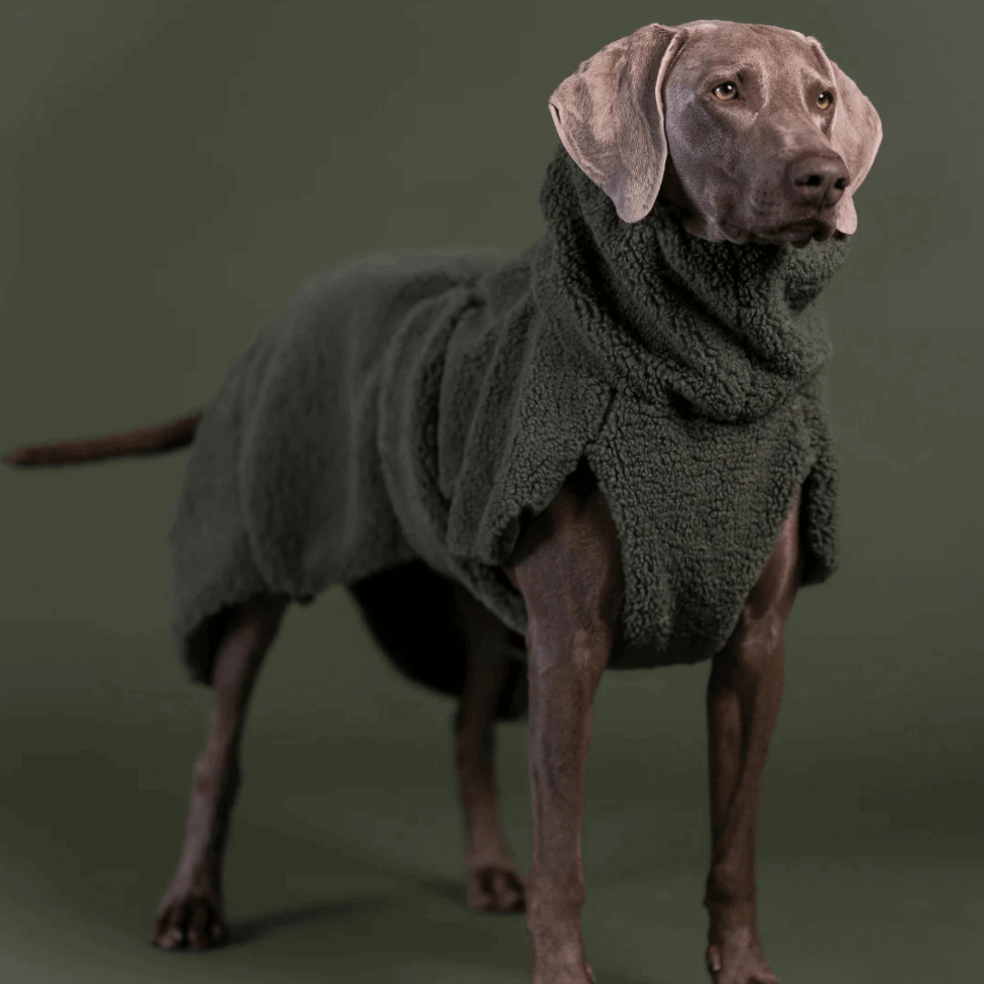PAIKKA Sherpa Mantel für Hunde – Olive