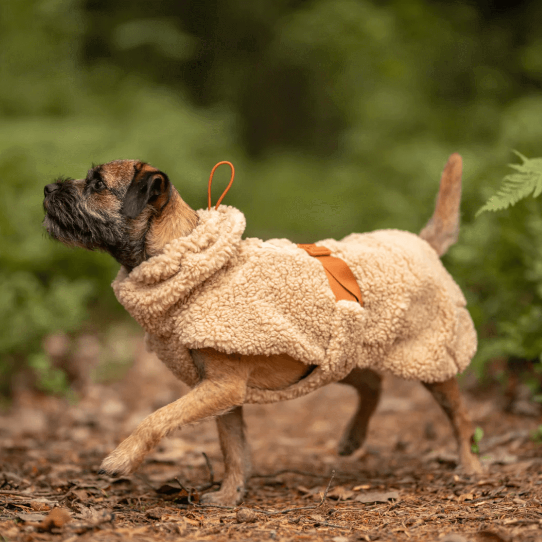 PAIKKA Sherpa Mantel für Hunde – Taupe