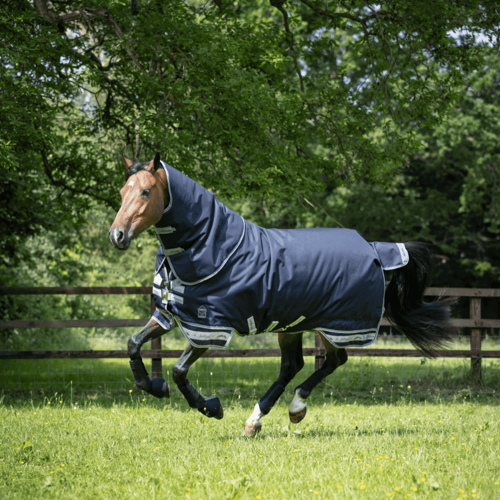 LeMieux Weidedecke Arika Storm-Tek 350 g