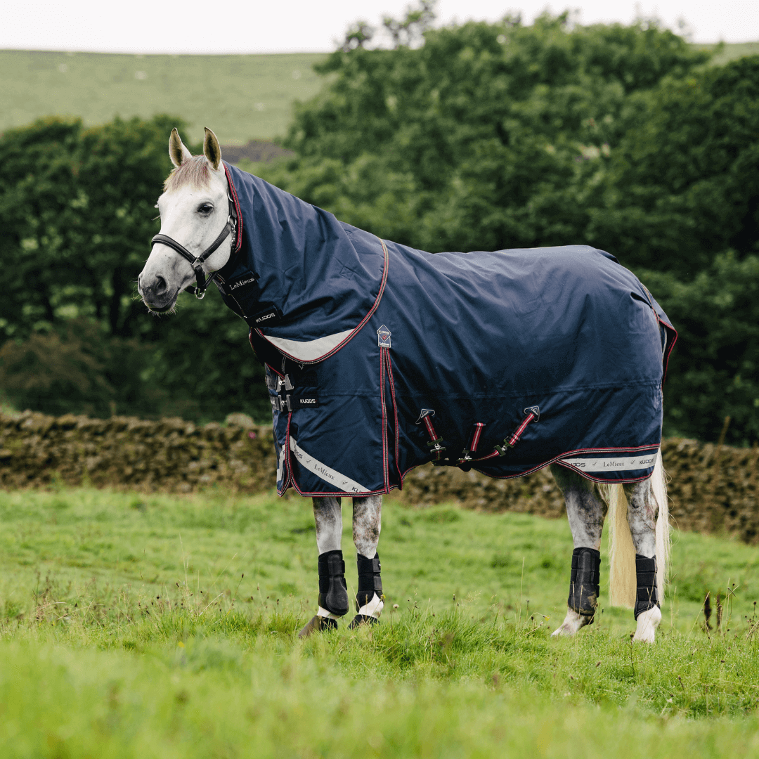 LeMieux Weidedecke Kudos 50g