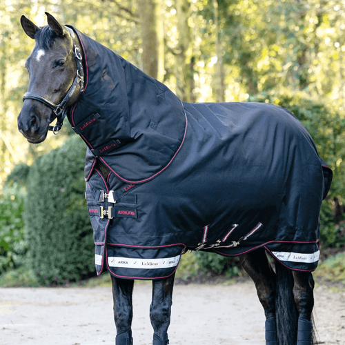 LeMieux Arika Storm-Tek Rug 100g