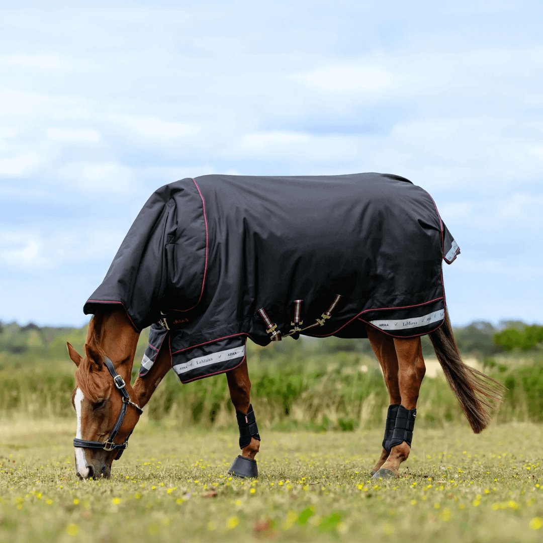 LeMieux Arika Storm-Tek Decke 200g