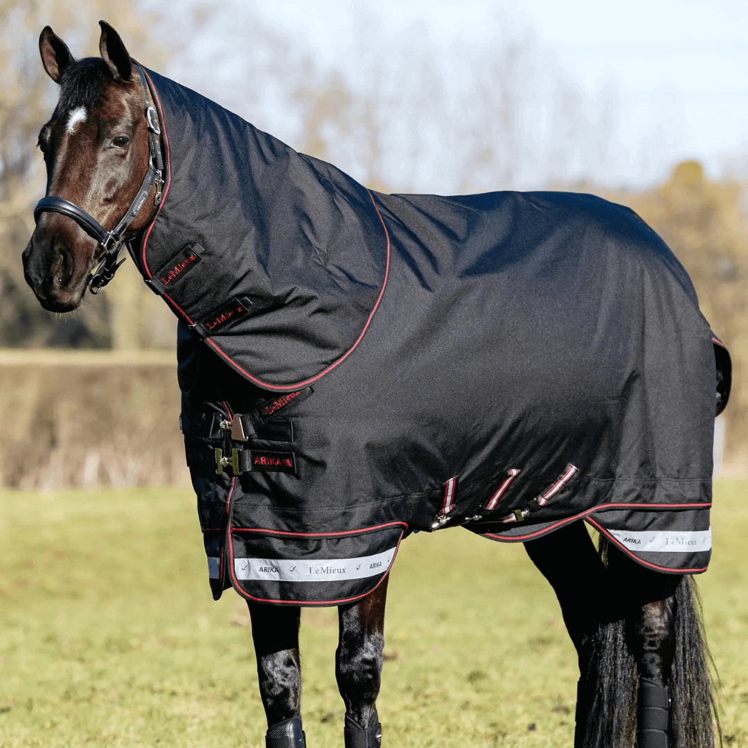 LeMieux Arika Storm-Tek Decke 50g