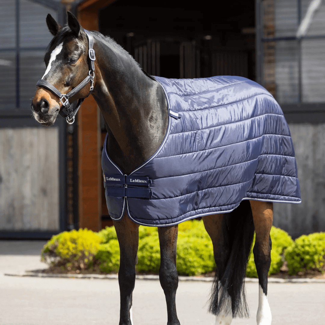 LeMieux Unterdecke 50?g