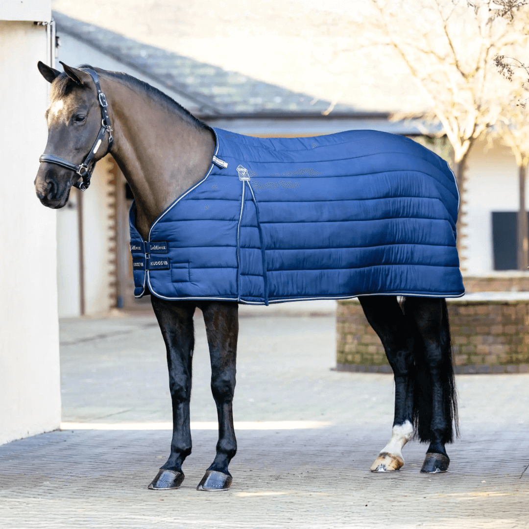 LeMieux Unterdecke Kudos 100?g