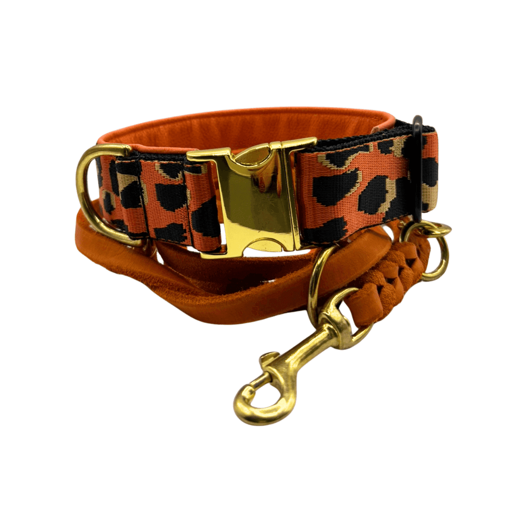 Amia De Lis Hundehalsband Leoliebe orange