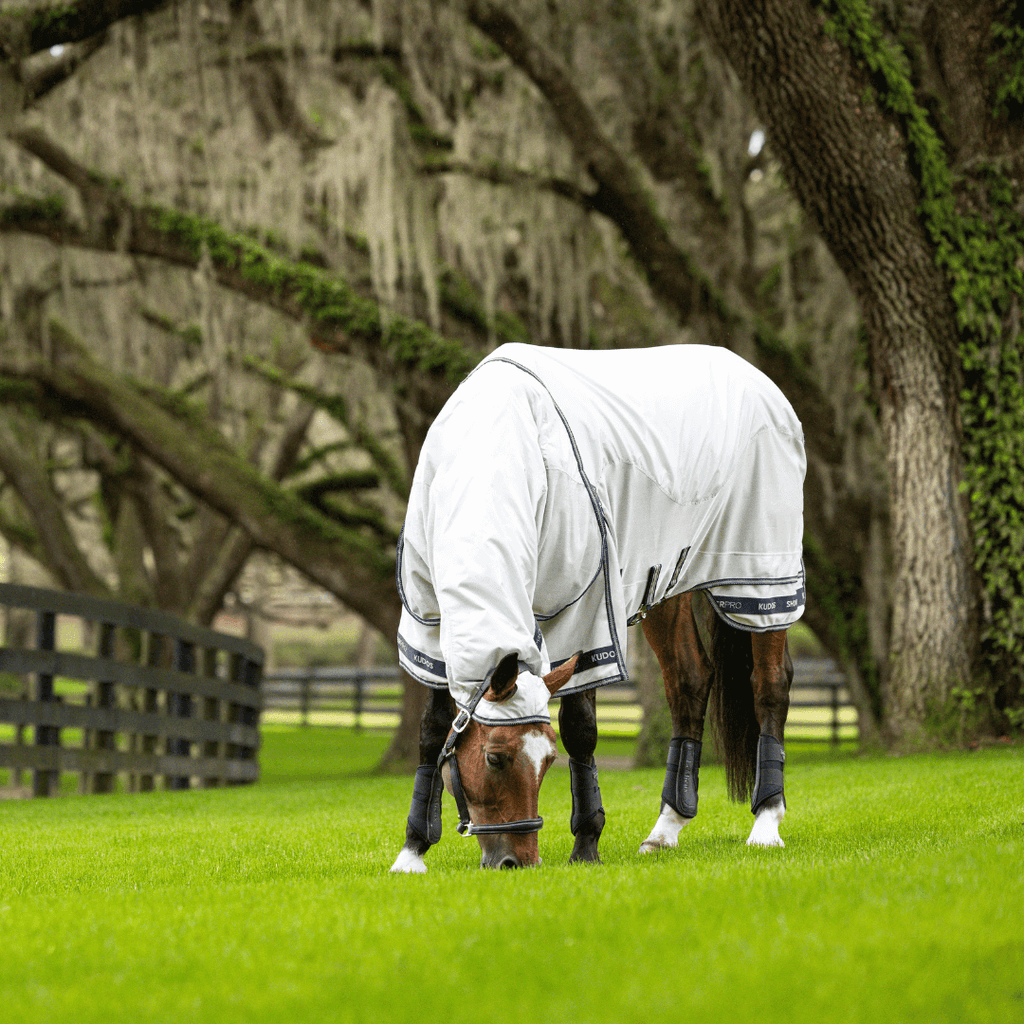 Kudos_Shower-Pro_wasserdichte_Fliegendecke_greemillaa