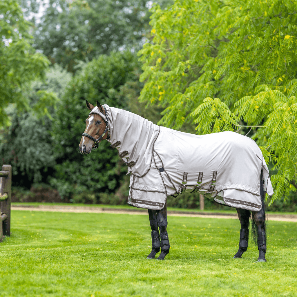 lemieux_kudos_Exzemer_Weidedecke_greemillaa