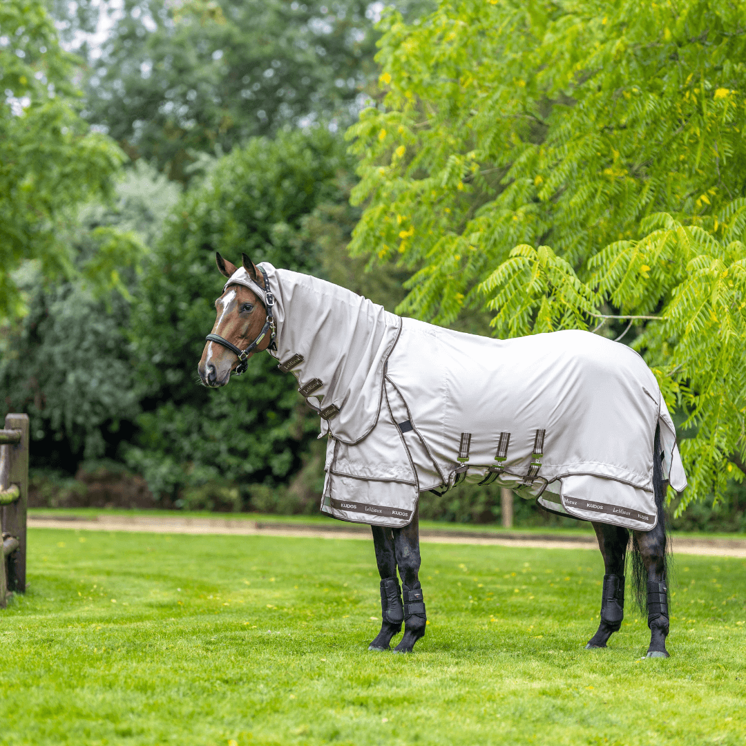 lemieux_kudos_Exzemer_Weidedecke_greemillaa