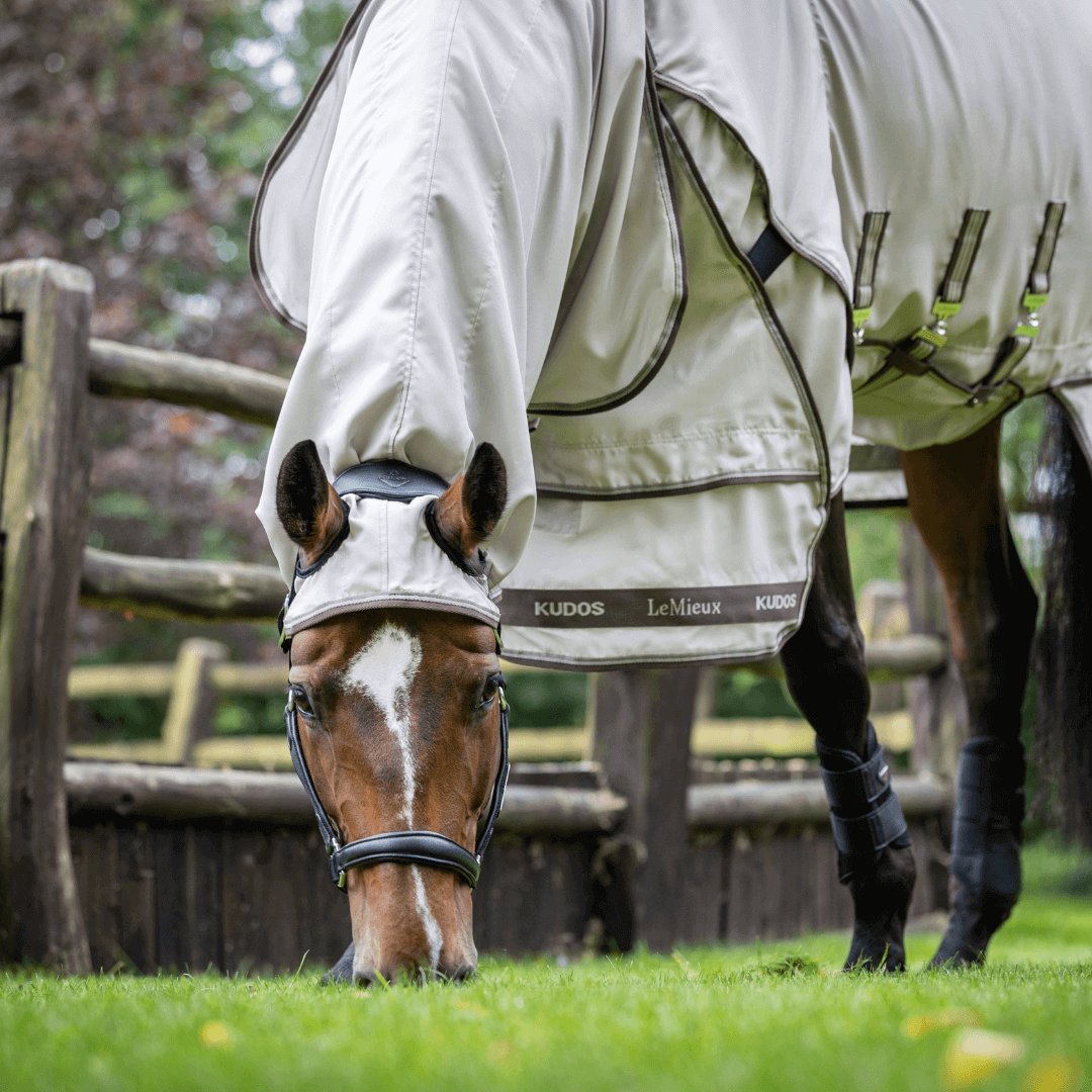 lemieux_kudos_Exzemer_Weidedecke_greemillaa