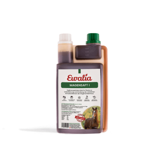 ewalia_riogrande_saft_greemillaa_pferdesport