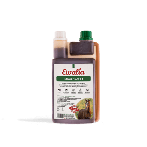ewalia_riogrande_saft_greemillaa_pferdesport
